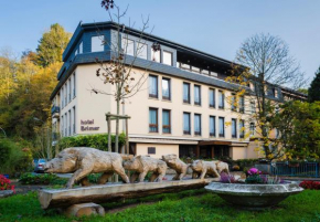 Отель Hotel Brimer  Грундхоф